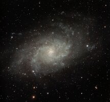 M33